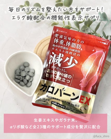 カロバーンEX/悩み解決ラボ/健康サプリメントを使ったクチコミ(2枚目)