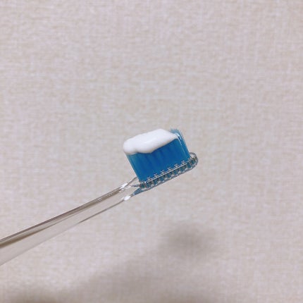 ハミガキPREMIUM/Lightee/歯磨き粉を使ったクチコミ(2枚目)