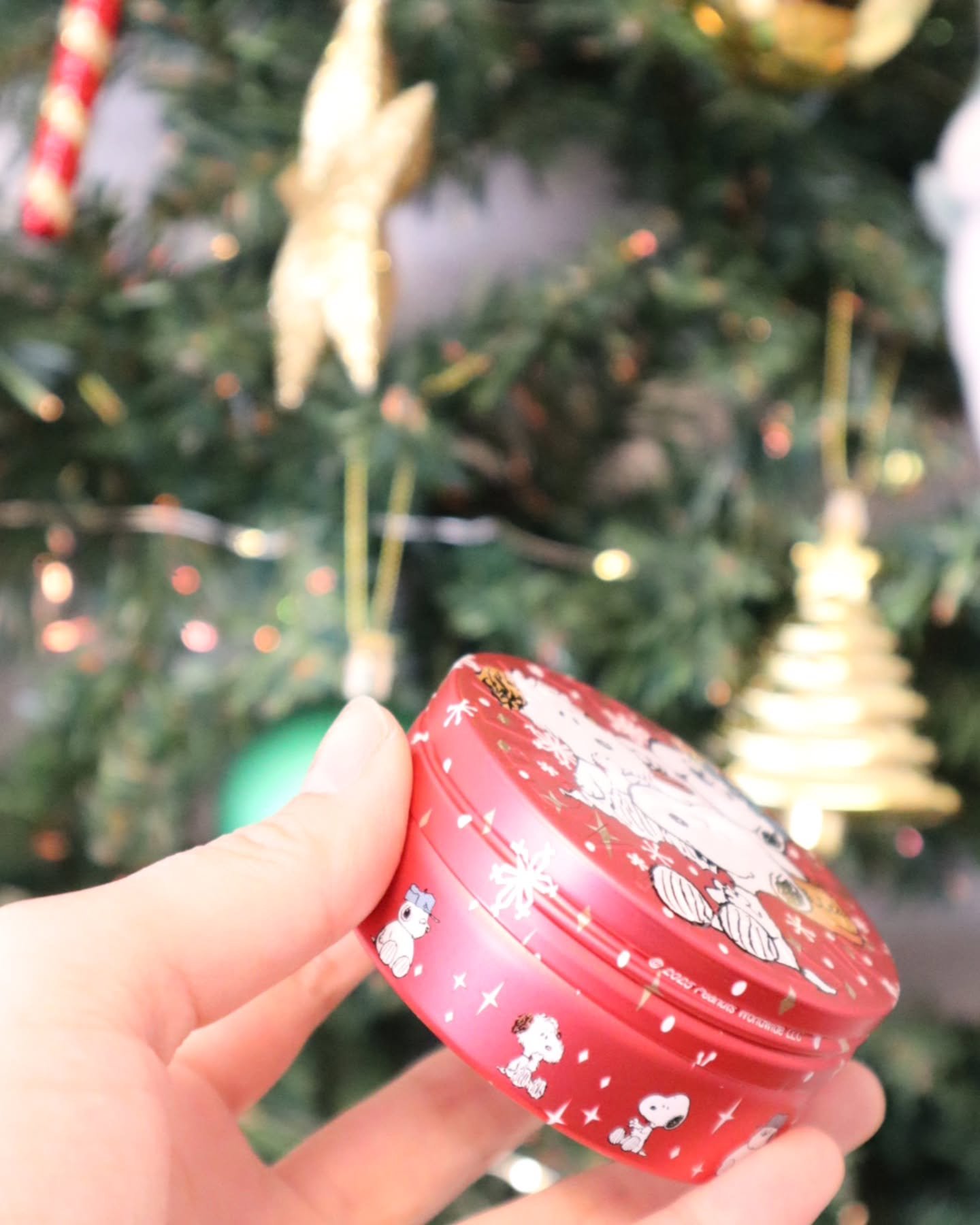 スチームクリーム/STEAMCREAM/ボディクリームを使ったクチコミ（2枚目）