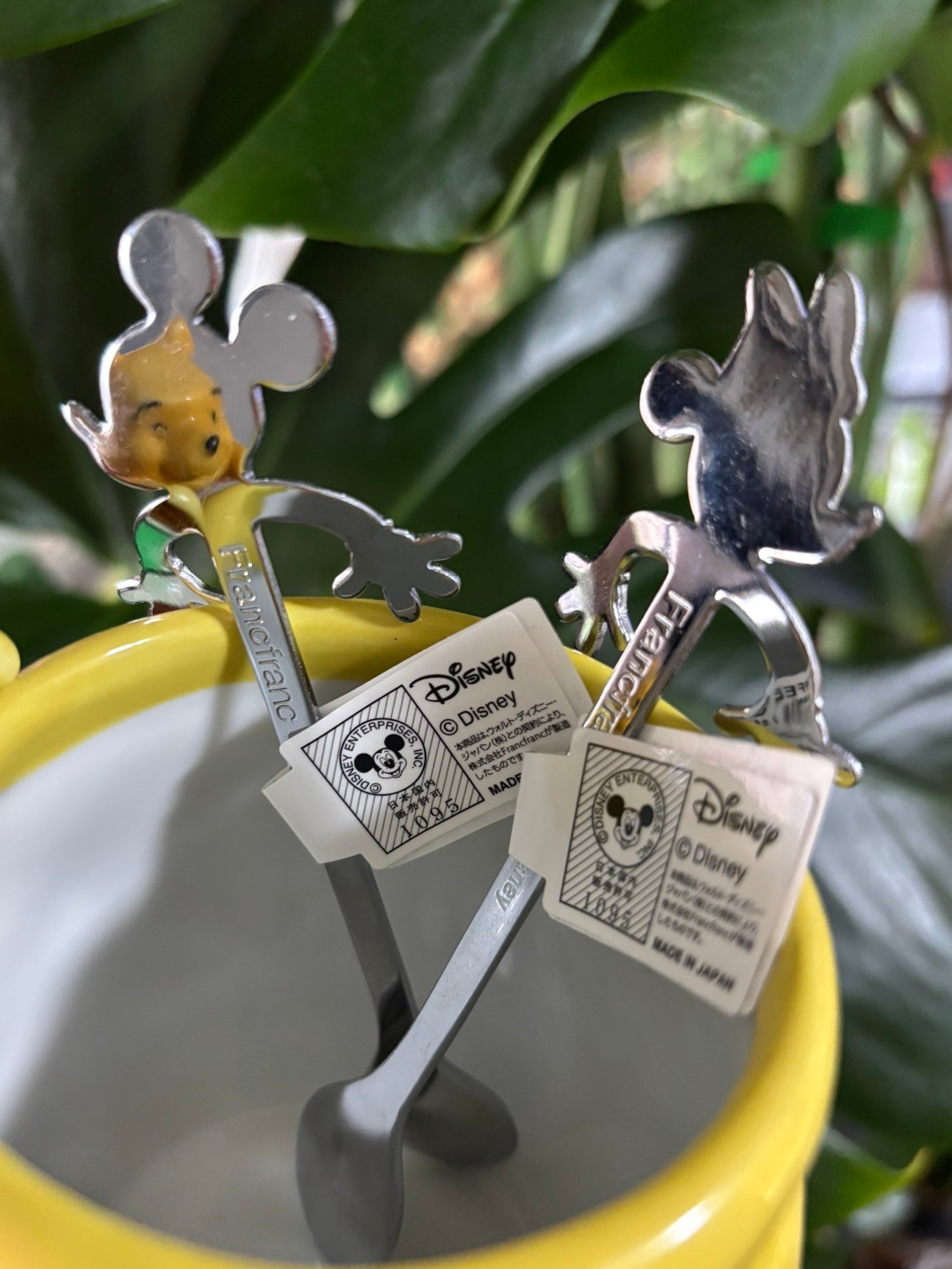 ðð©·ðIrohaãã©ããðââïž on LIPS ããã坿ãðFrancfrancã§èŠã€ããŠâ£ïžãã£ãºããŒå¥œãã..ãïŒ4æç®ïŒ