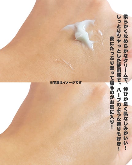 へナム404ペプタシカクリーム/TOUN28/フェイスクリームを使ったクチコミ(3枚目)