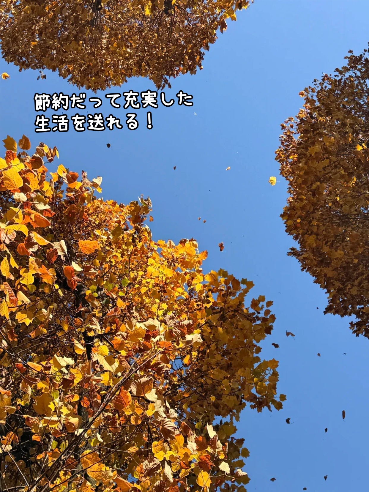 アネトス バランシング トリートメントクリーム/Anetos/フェイスクリームを使ったクチコミ（2枚目）