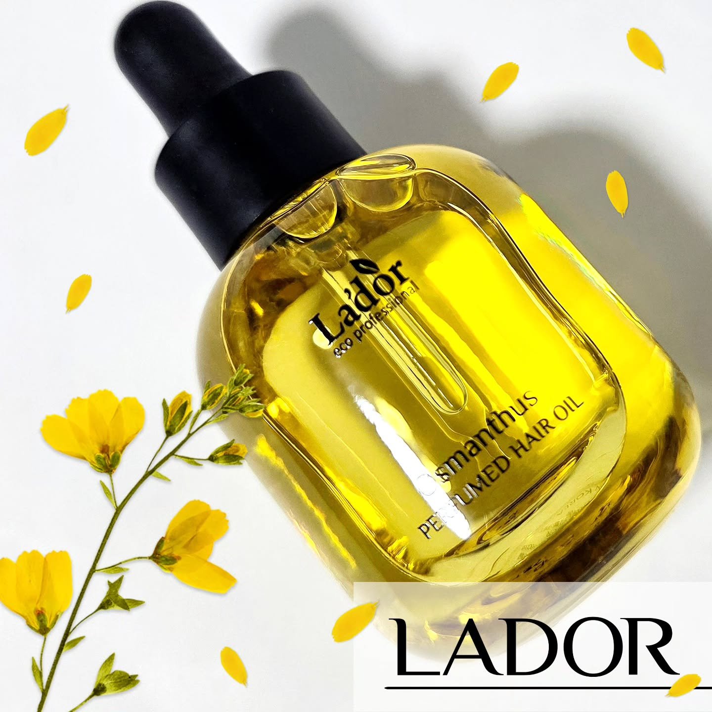 パフュームヘアオイル オスマンサス/La'dor/ヘアオイルを使ったクチコミ（1枚目）