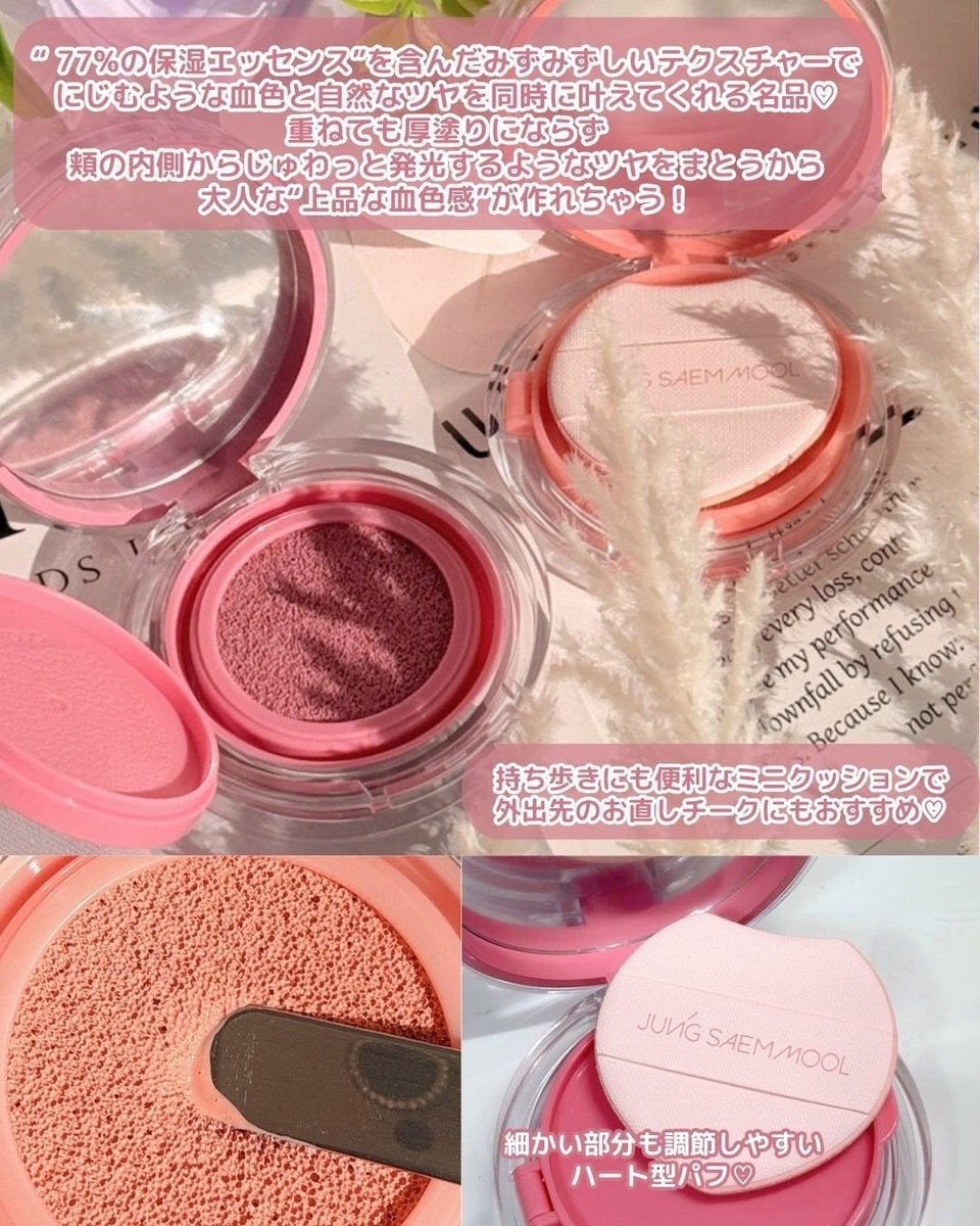 アーティストクッションブラッシュ/JUNG SAEM MOOL/リキッドチークを使ったクチコミ(3枚目)