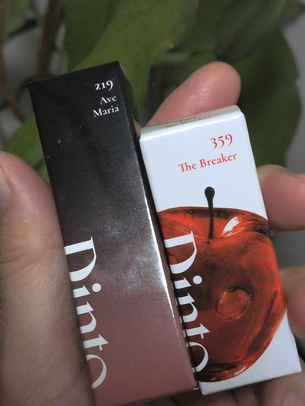 ブラーグロイリップティント 219/Dinto/リップティントの画像