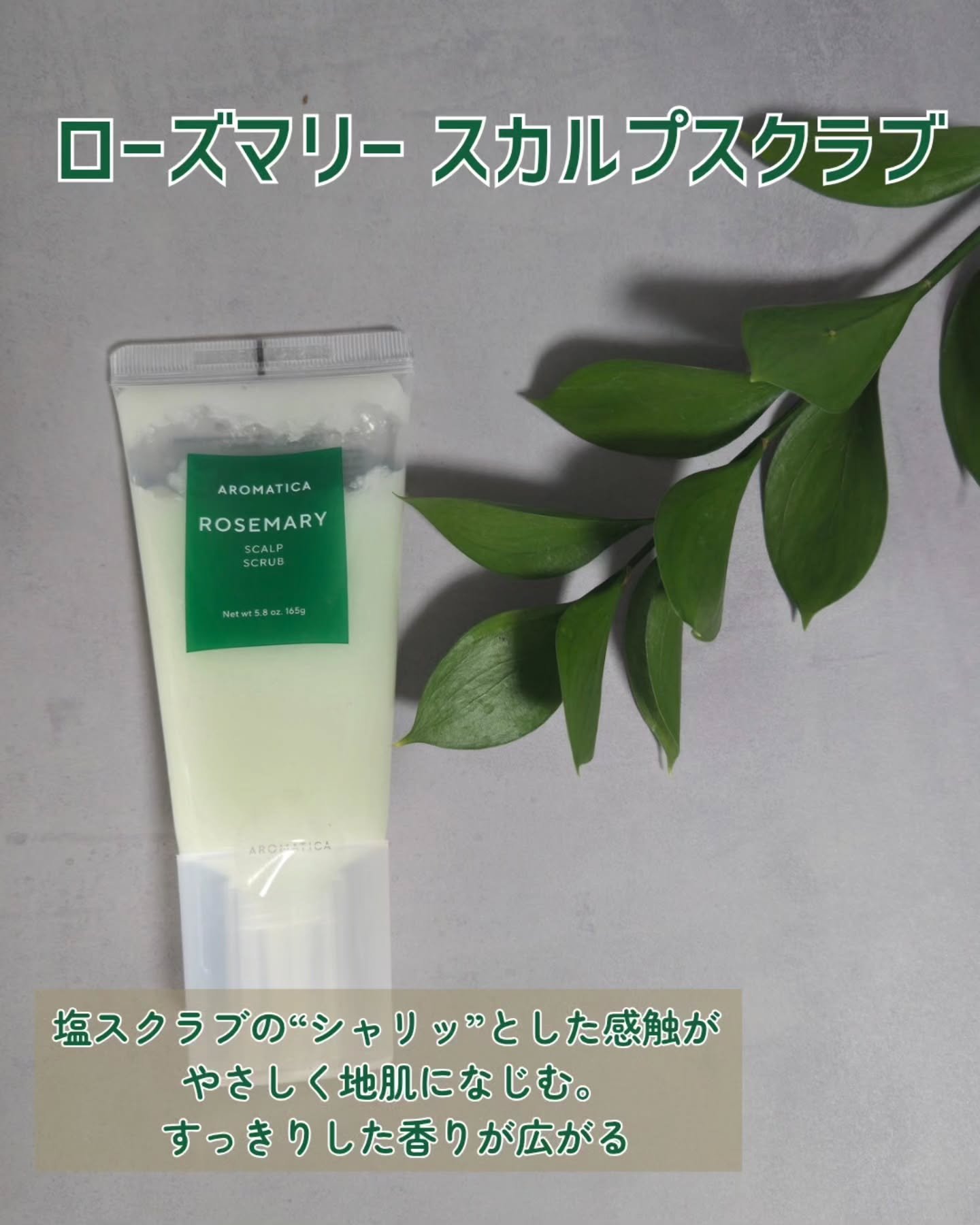 ローズマリー スカルプ スクラブ/AROMATICA/ヘッドスクラブを使ったクチコミ（2枚目）
