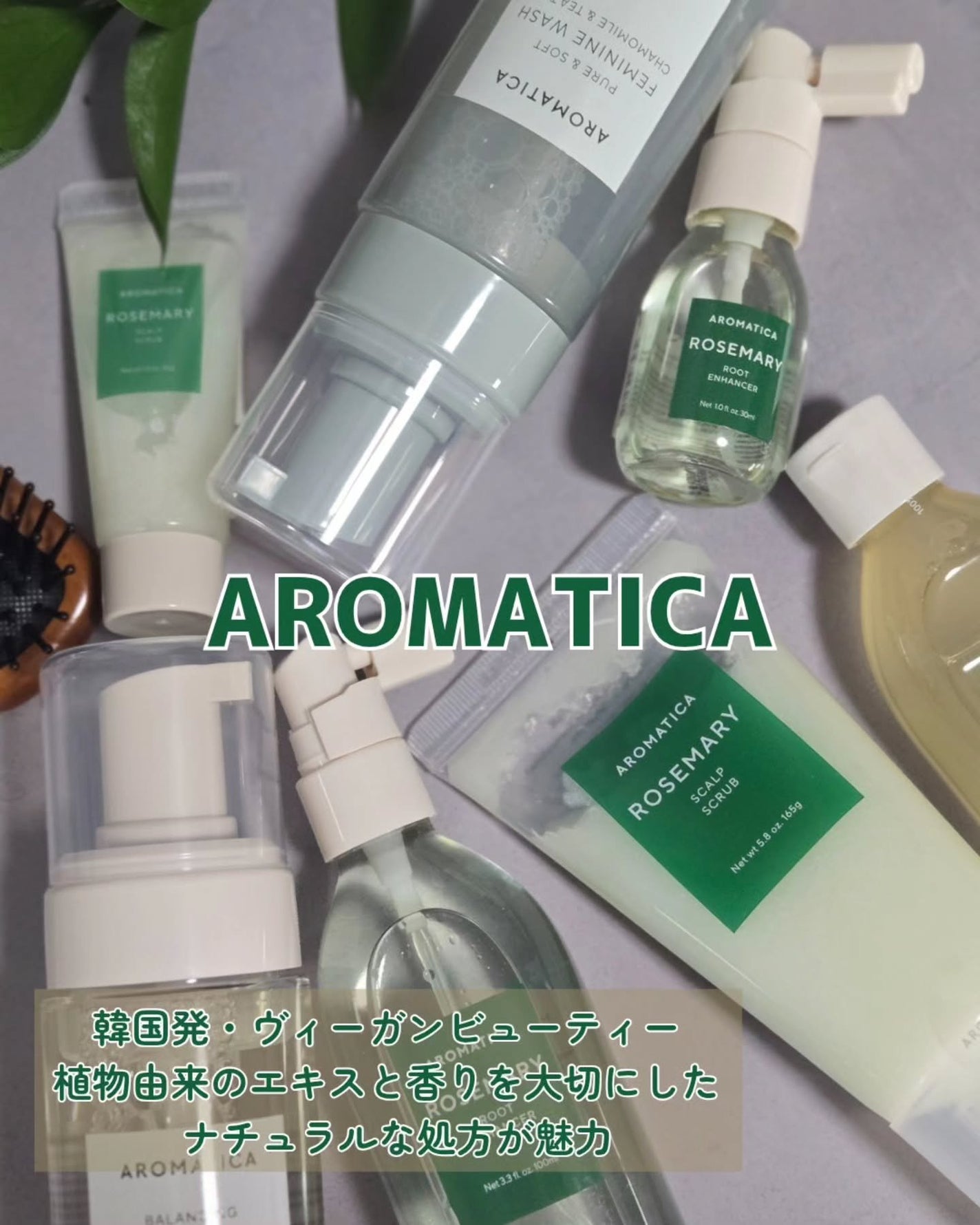 ローズマリー スカルプ スクラブ/AROMATICA/ヘッドスクラブを使ったクチコミ(1枚目)