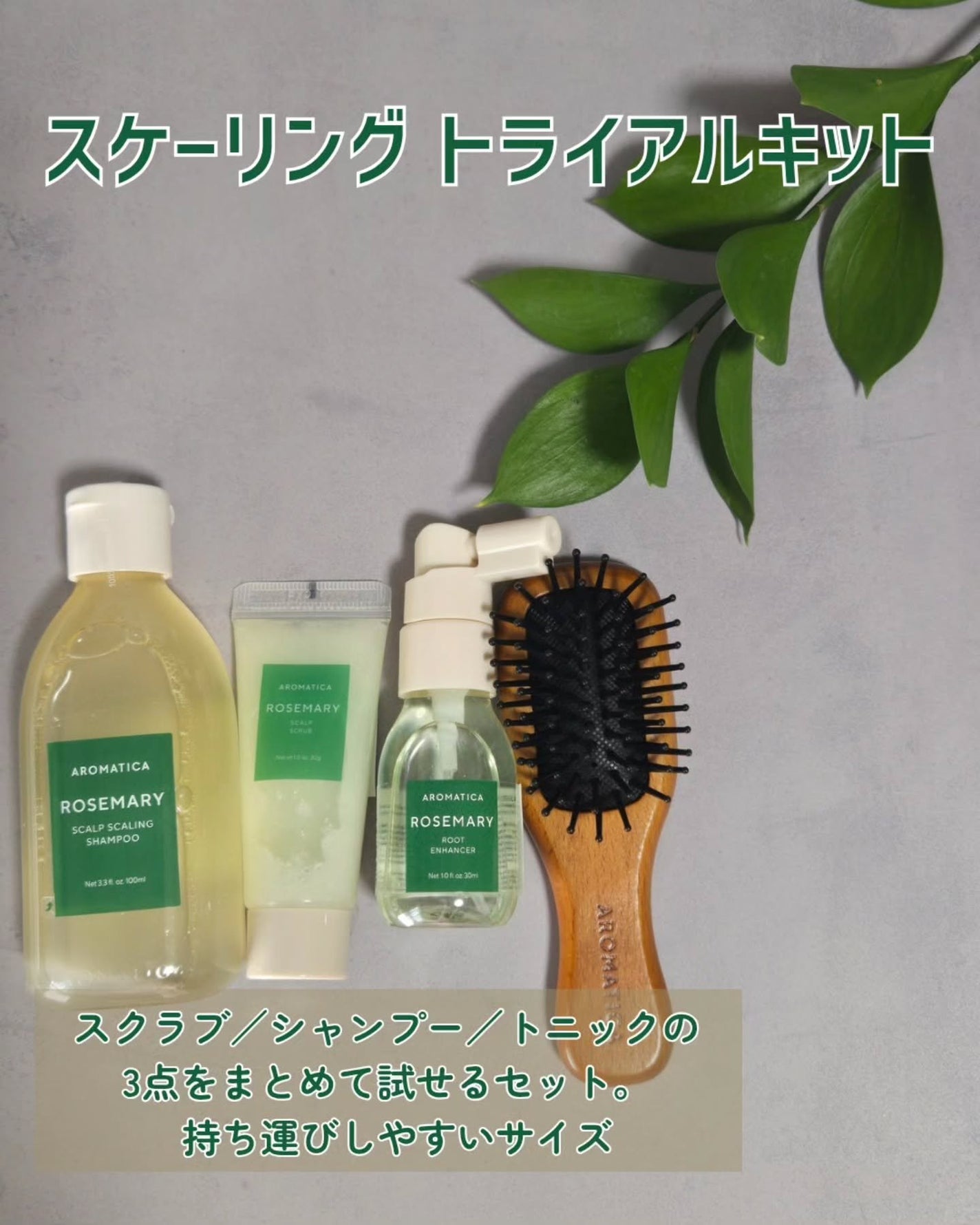 ローズマリー スカルプ スクラブ/AROMATICA/ヘッドスクラブを使ったクチコミ(5枚目)