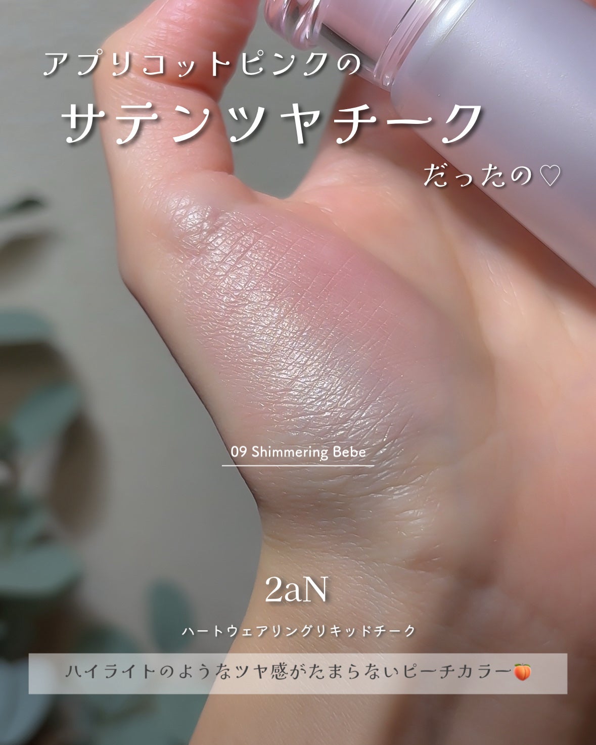 ベターミーアイパレット/2aN/マルチパレットを使ったクチコミ(4枚目)