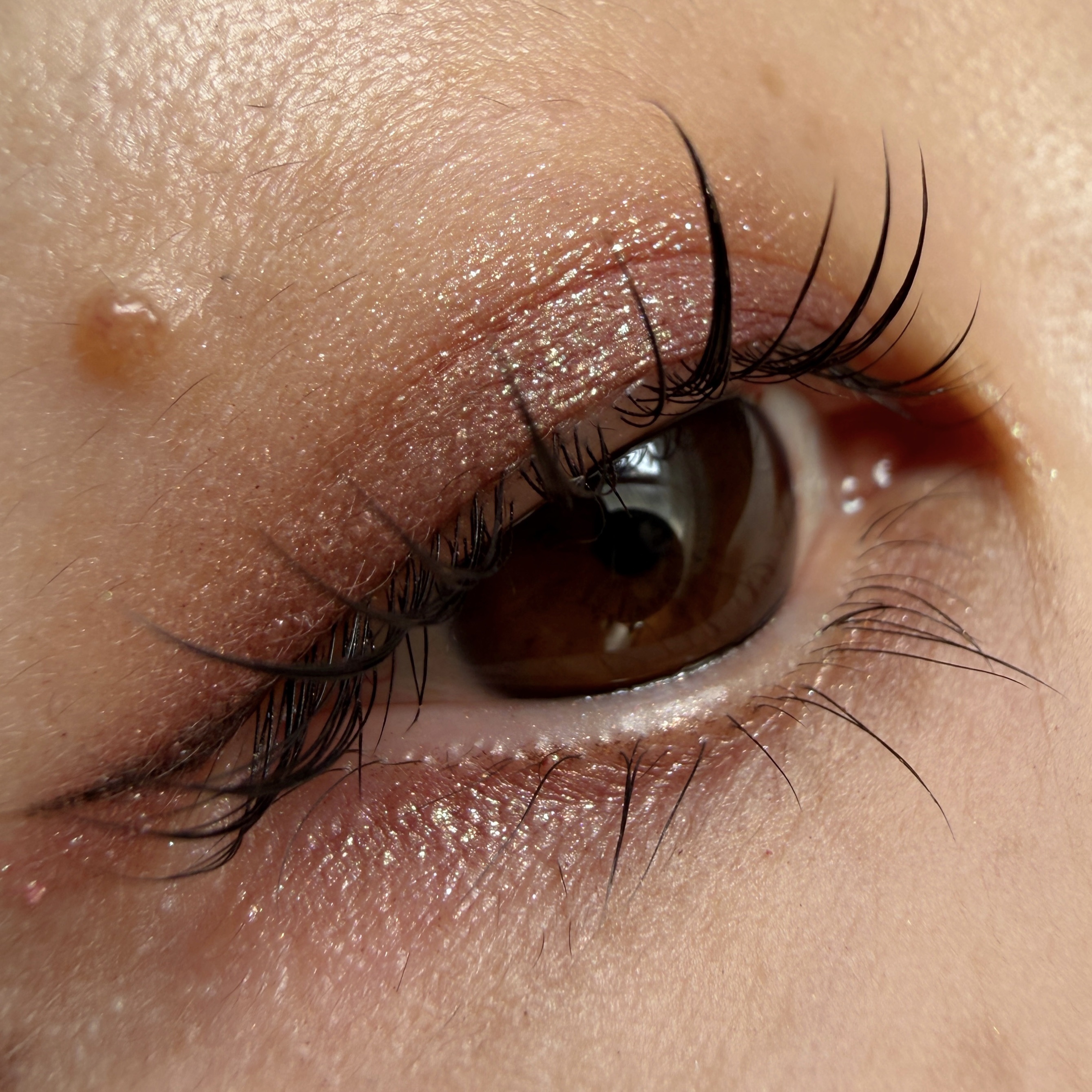 ロングウェア クリーム シャドウ スティック/BOBBI BROWN/スティックアイシャドウを使ったクチコミ（1枚目）