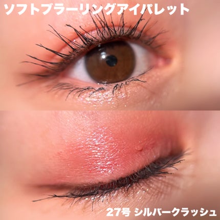 ソフトブラーリングアイパレット/wakemake/アイシャドウパレットを使ったクチコミ(7枚目)