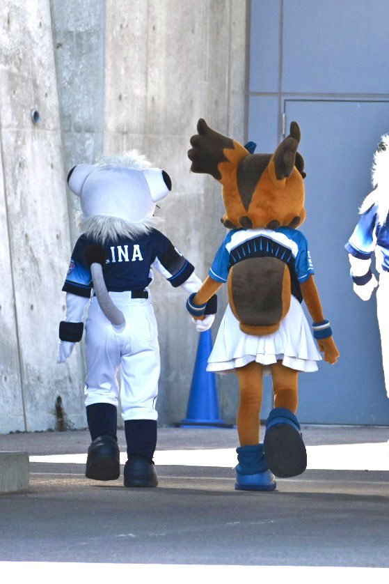 白いポツポツ
憎きアイツが、気になって仕方がありません

以前は目の周りに出来る事が殆どだったんですけど、最近は歳のせいか気付くと頬などにも出来ています

大きさは小さな白ニキビくらいなので、気にする事も無いのでしょうが、私は気になります←