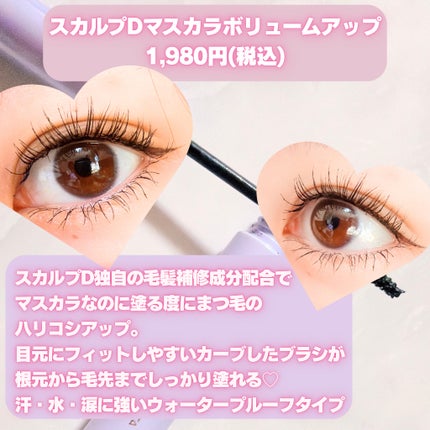 スカルプD マスカラ ボリュームアップ/アンファー(スカルプD)/マスカラを使ったクチコミ(5枚目)