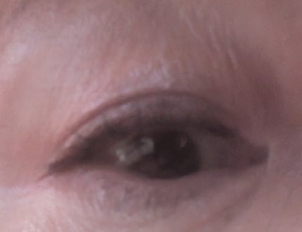 6色アイシャドウパレット/and us/アイシャドウパレットを使ったクチコミ(2枚目)