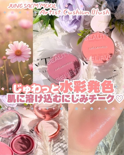 アーティストクッションブラッシュ/JUNG SAEM MOOL/リキッドチークを使ったクチコミ(1枚目)