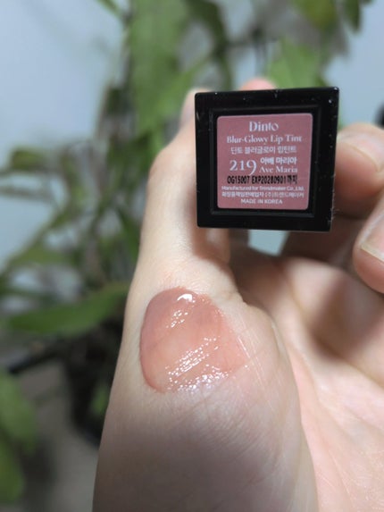 ブラーグロイリップティント 219/Dinto/リップティントの画像