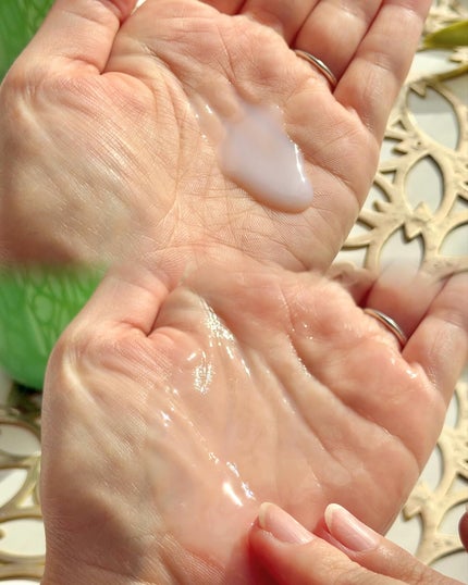 グリーンティー セラミド バリア クリーム/innisfree/フェイスクリームを使ったクチコミ(4枚目)