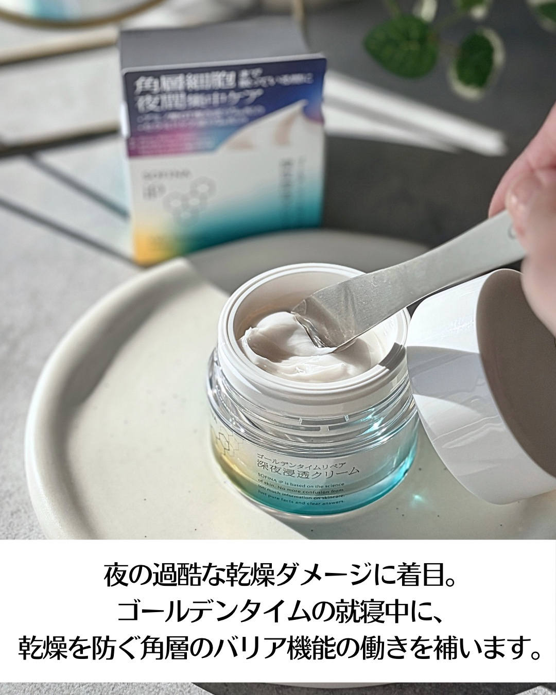 ソフィーナ iP ゴールデンタイムリペア 深夜浸透クリーム/SOFINA iP/フェイスクリームを使ったクチコミ（3枚目）