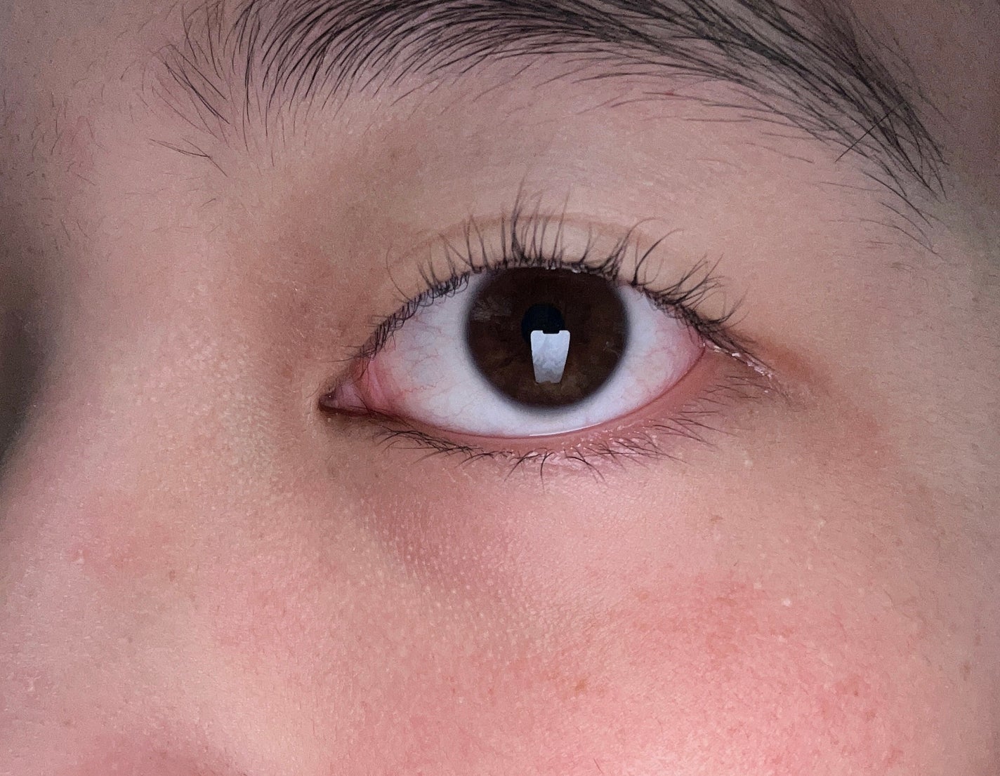 カールフィックスマスカラ/ETUDE/マスカラを使ったクチコミ(2枚目)