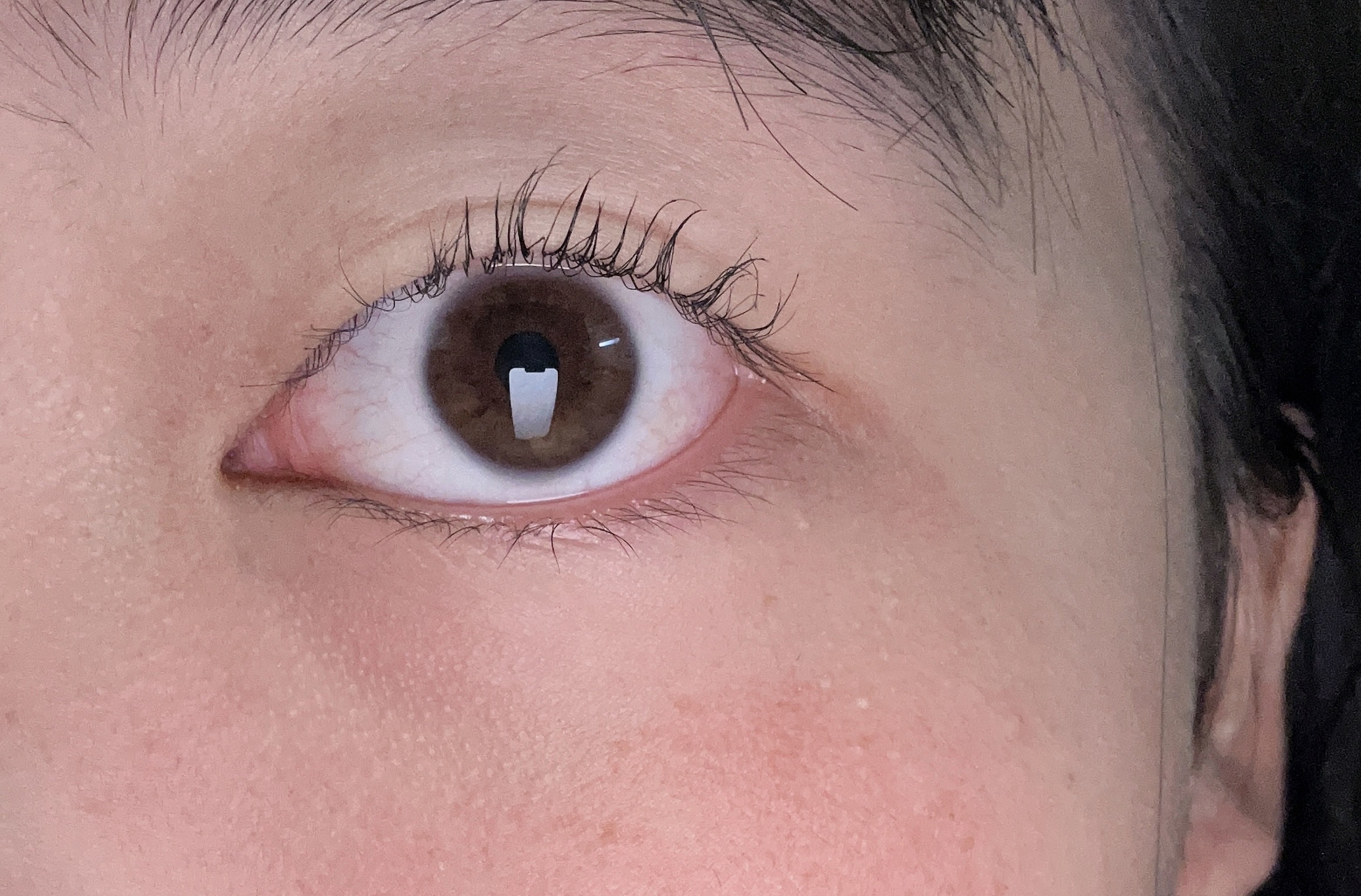 カールフィックスマスカラ/ETUDE/マスカラを使ったクチコミ（3枚目）