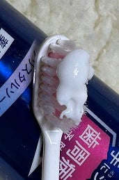 ピュオーラ 炭酸ハミガキ【医薬部外品】/ピュオーラ/歯磨き粉を使ったクチコミ(2枚目)