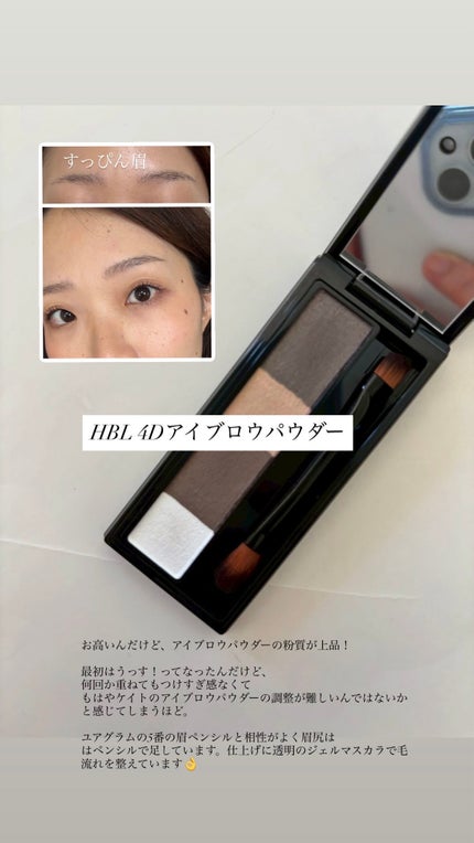 HBL 4Dアイブロウパウダー 01 ナチュラルブラウン/HBL BEAUTY/パウダーアイブロウの画像