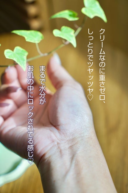 カラーフードシリーズグリーングロウアップクリーム/Tovegan/フェイスクリームを使ったクチコミ(4枚目)