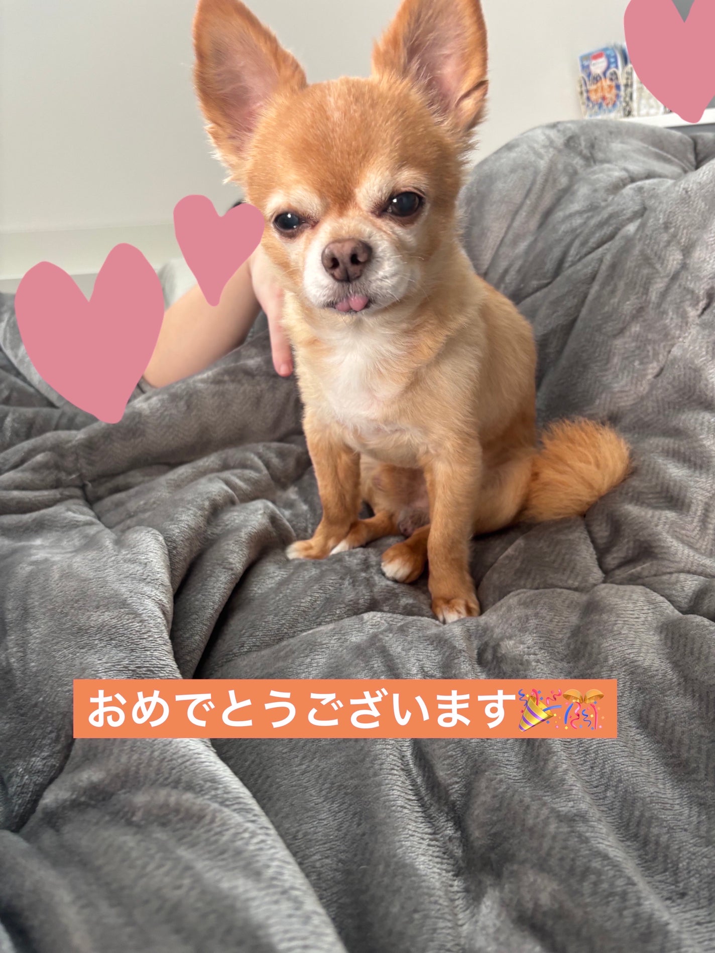 カラフルネイルズ/キャンメイク/マニキュアを使ったクチコミ(6枚目)