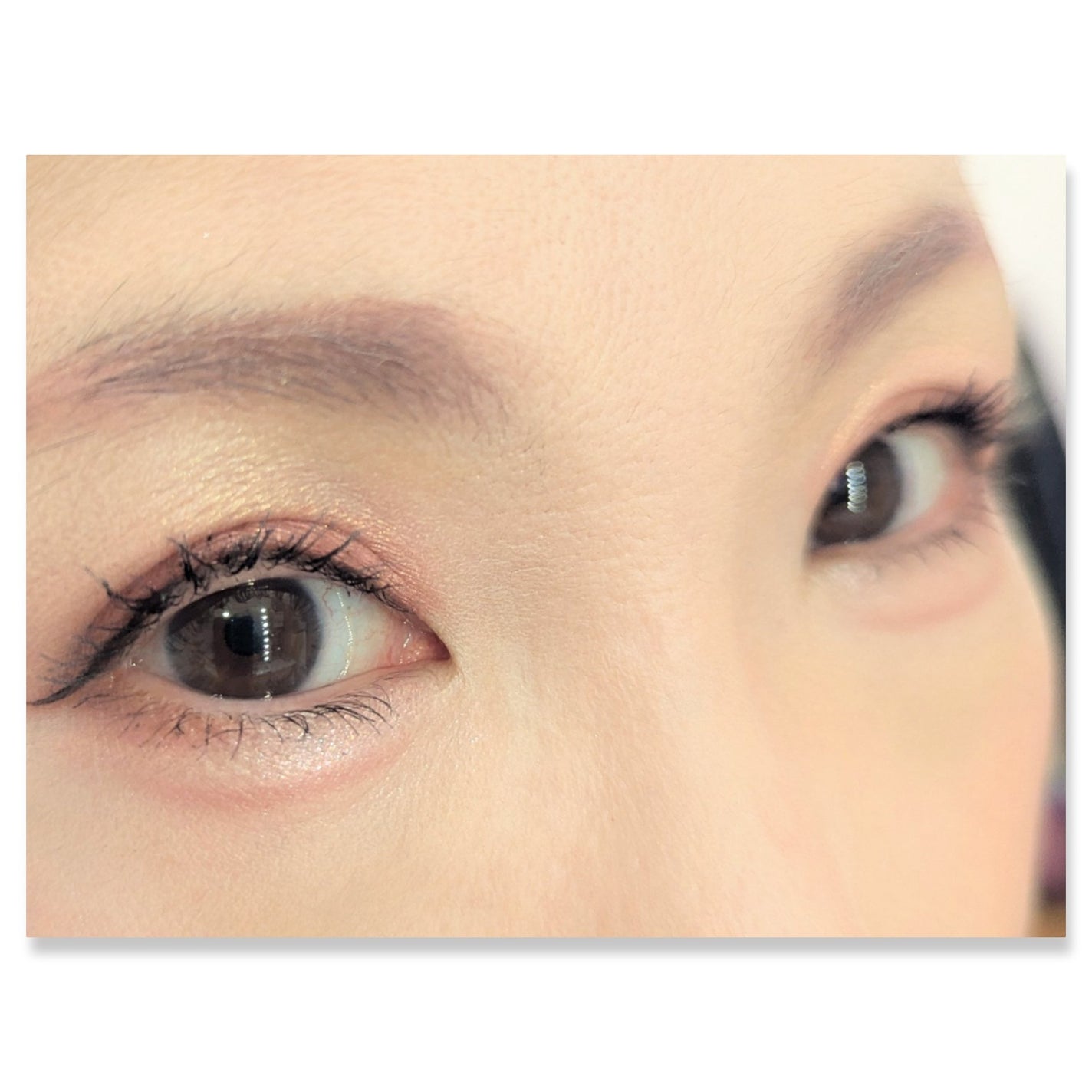 銀河系アイシャドウパレット/Ready to Shine/アイシャドウパレットを使ったクチコミ(2枚目)