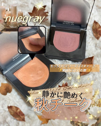 スウェイチークブラッシャー/nuegray/ジェル・クリームチークを使ったクチコミ(1枚目)