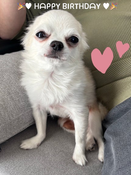 ネイルホリック アート/ネイルホリック/マニキュアを使ったクチコミ(6枚目)