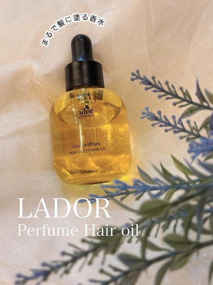パフュームヘアオイル オスマンサス/La'dor/ヘアオイルを使ったクチコミ(1枚目)