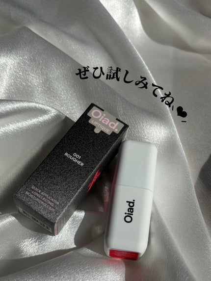 リップティーク/oiad/口紅を使ったクチコミ(8枚目)