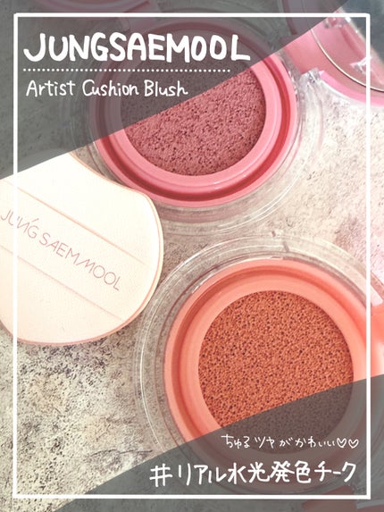 アーティストクッションブラッシュ/JUNG SAEM MOOL/リキッドチークを使ったクチコミ(1枚目)
