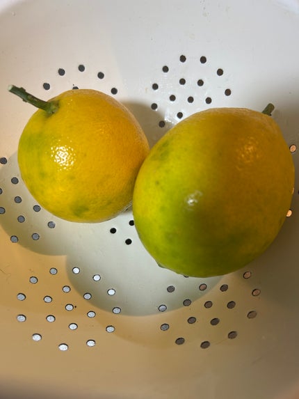 ひふみレイキ💫フォロバ♾️ on LIPS 「女の子ってプリンが好きですよね❤️そんな話を前にも書きましたが..」(7枚目)