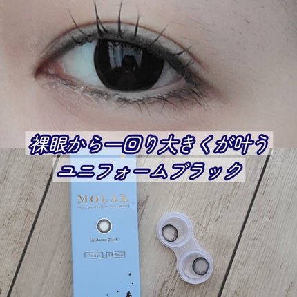 MOLAK 1day/MOLAK/ワンデー(1DAY)カラコンを使ったクチコミ(1枚目)