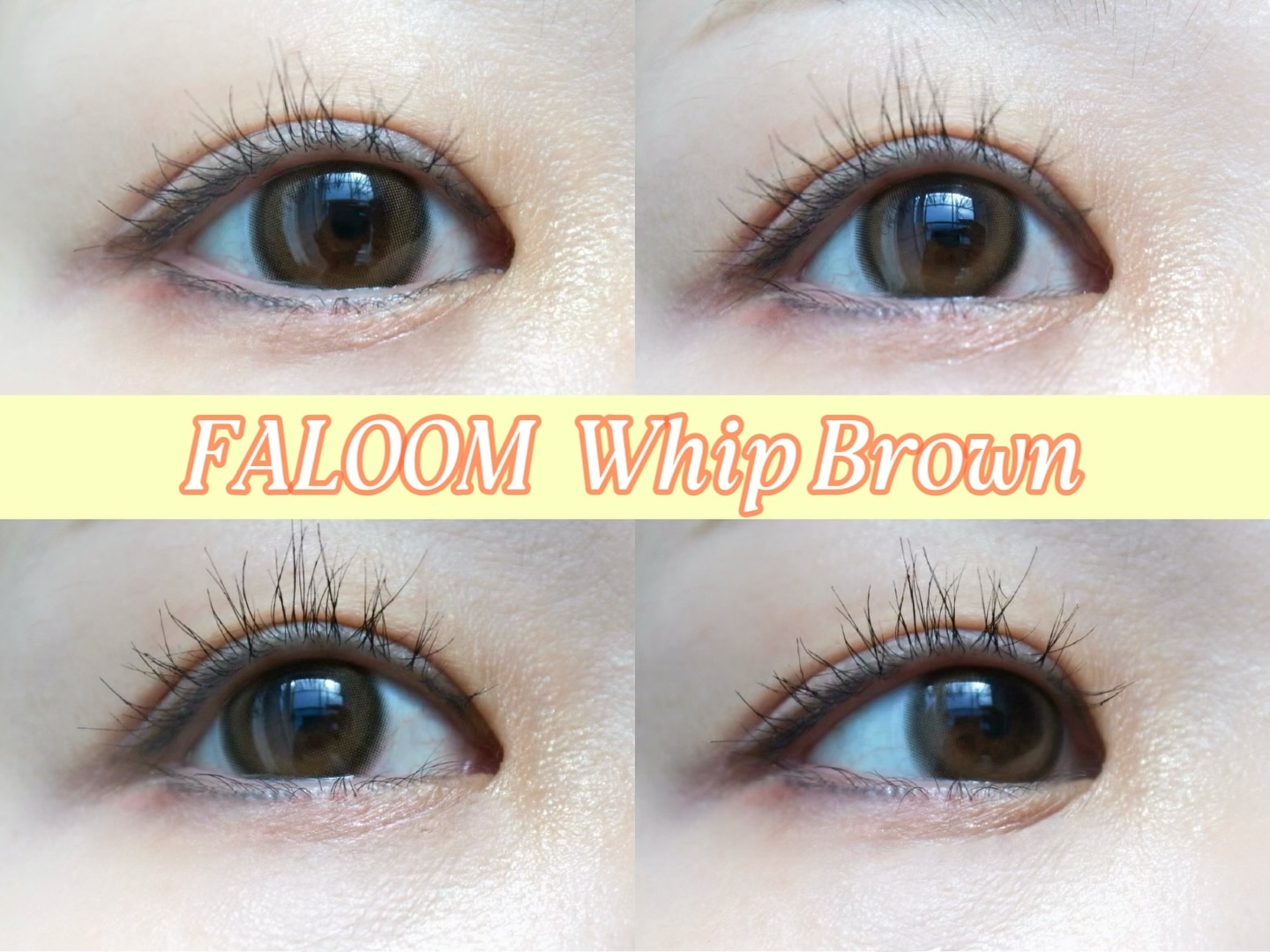 ⁡
FALOOM
ホイップブラウン


DIA>>>>14.5mm
着色直径>>>>13.8mm
BC>>>>8.6mm
使用期間>>>>ワンデー
含水率>>>>55％
⁡
矢吹奈子さんイメージモデルカラコン´-
⁡
まろやかなベージュ×ぽ