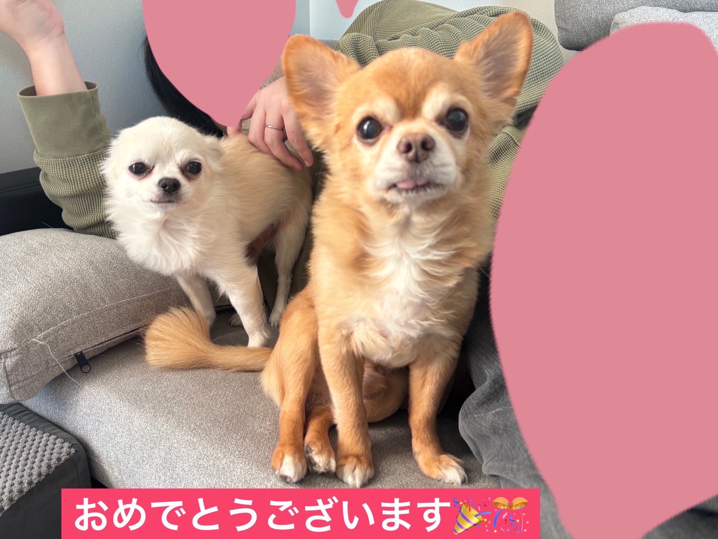 カラフルネイルズ/キャンメイク/マニキュアを使ったクチコミ(7枚目)