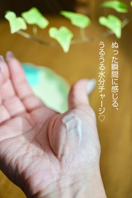 カラーフードシリーズグリーングロウアップクリーム/Tovegan/フェイスクリームを使ったクチコミ(3枚目)