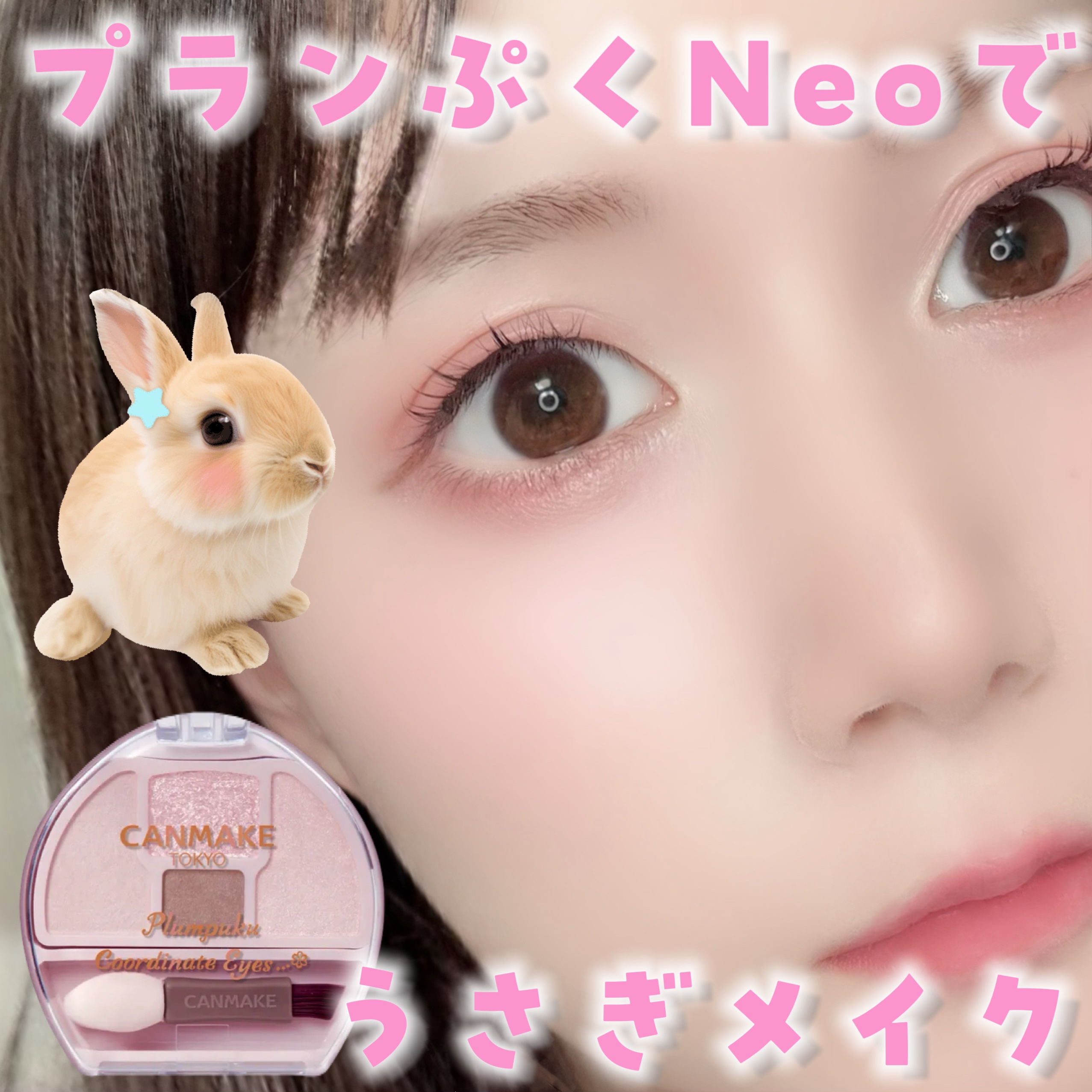 プランぷくコーデアイズNeo/キャンメイク/アイシャドウを使ったクチコミ（1枚目）