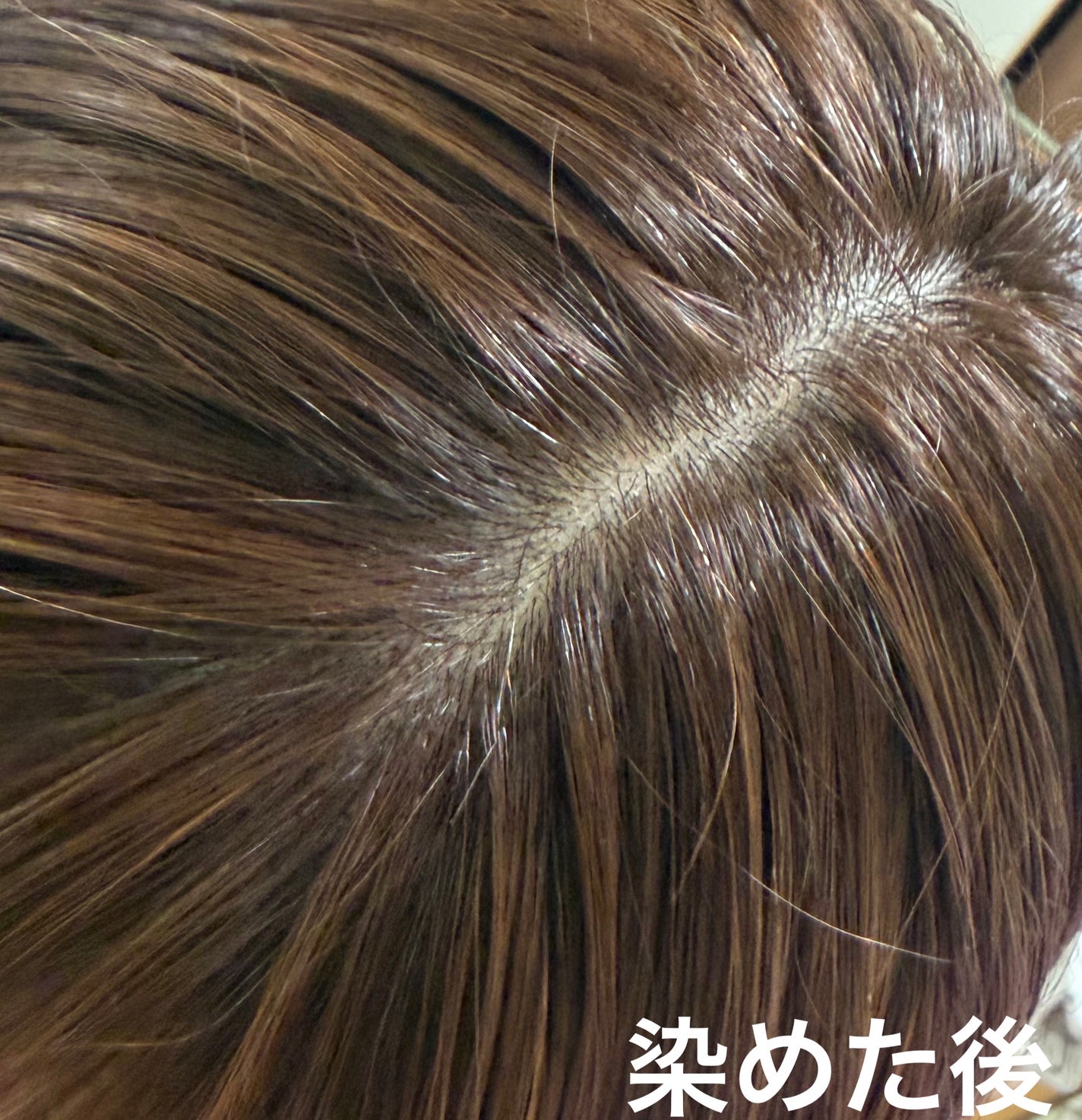 泡カラー 白髪用/ブローネ/ヘアカラーを使ったクチコミ(9枚目)