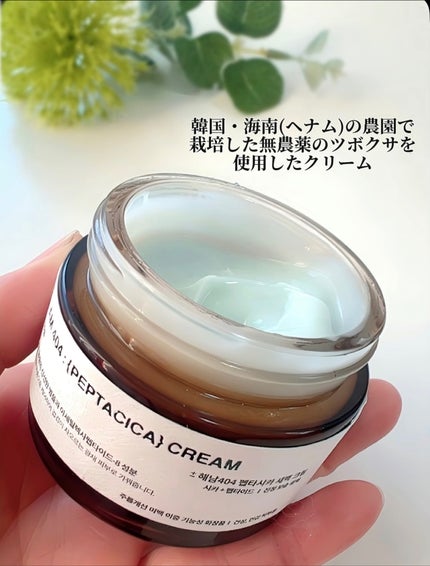 へナム404ペプタシカクリーム/TOUN28/フェイスクリームを使ったクチコミ(3枚目)