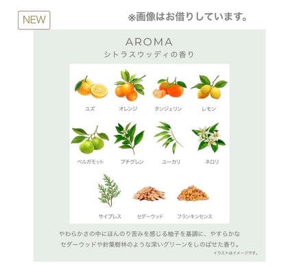 イグニス ナイトウェル ボディミルク/IGNIS/ボディミルクを使ったクチコミ(3枚目)