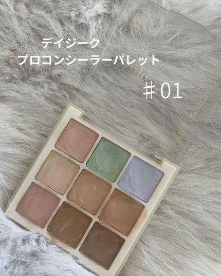 プロコンシーラーパレット/dasique/パレットコンシーラーを使ったクチコミ(2枚目)