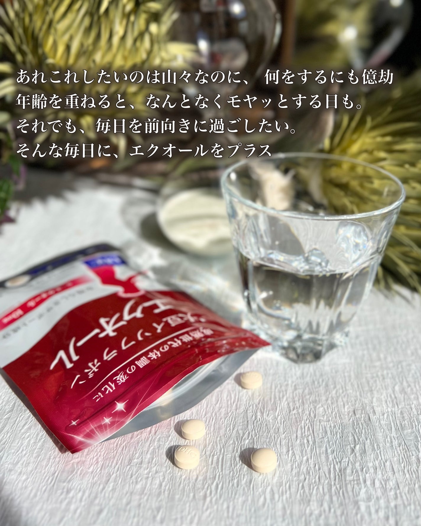 DHC 大豆イソフラボン エクオール/DHC/健康サプリメントを使ったクチコミ(2枚目)