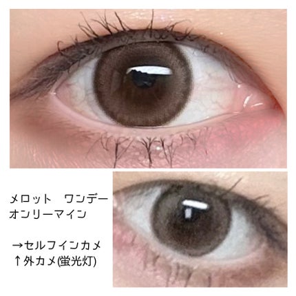 melotte 1day/melotte/ワンデー(1DAY)カラコンを使ったクチコミ(1枚目)