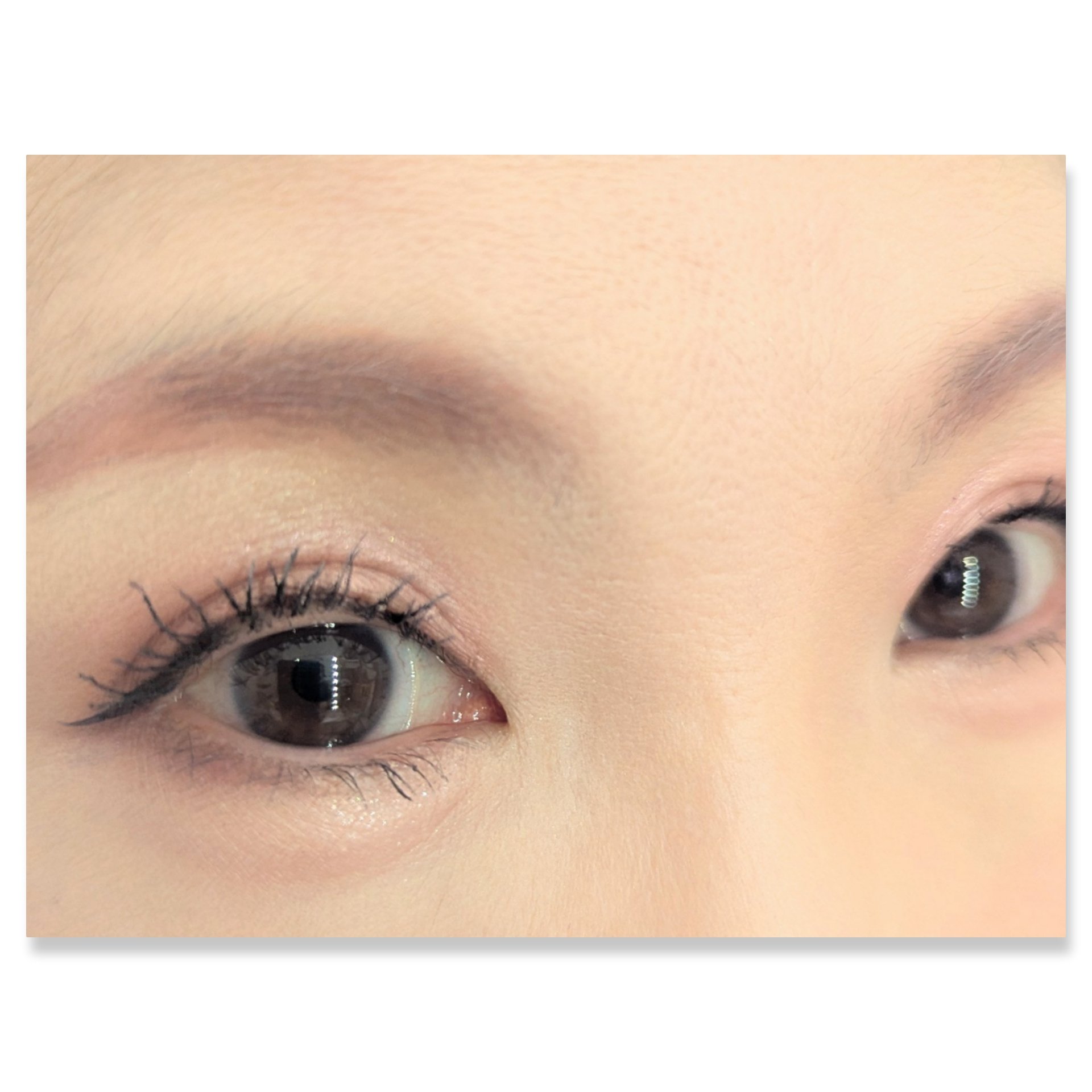 コネクト イン カラー アイシャドウ パレット × 6/M・A・C/アイシャドウパレットを使ったクチコミ（2枚目）