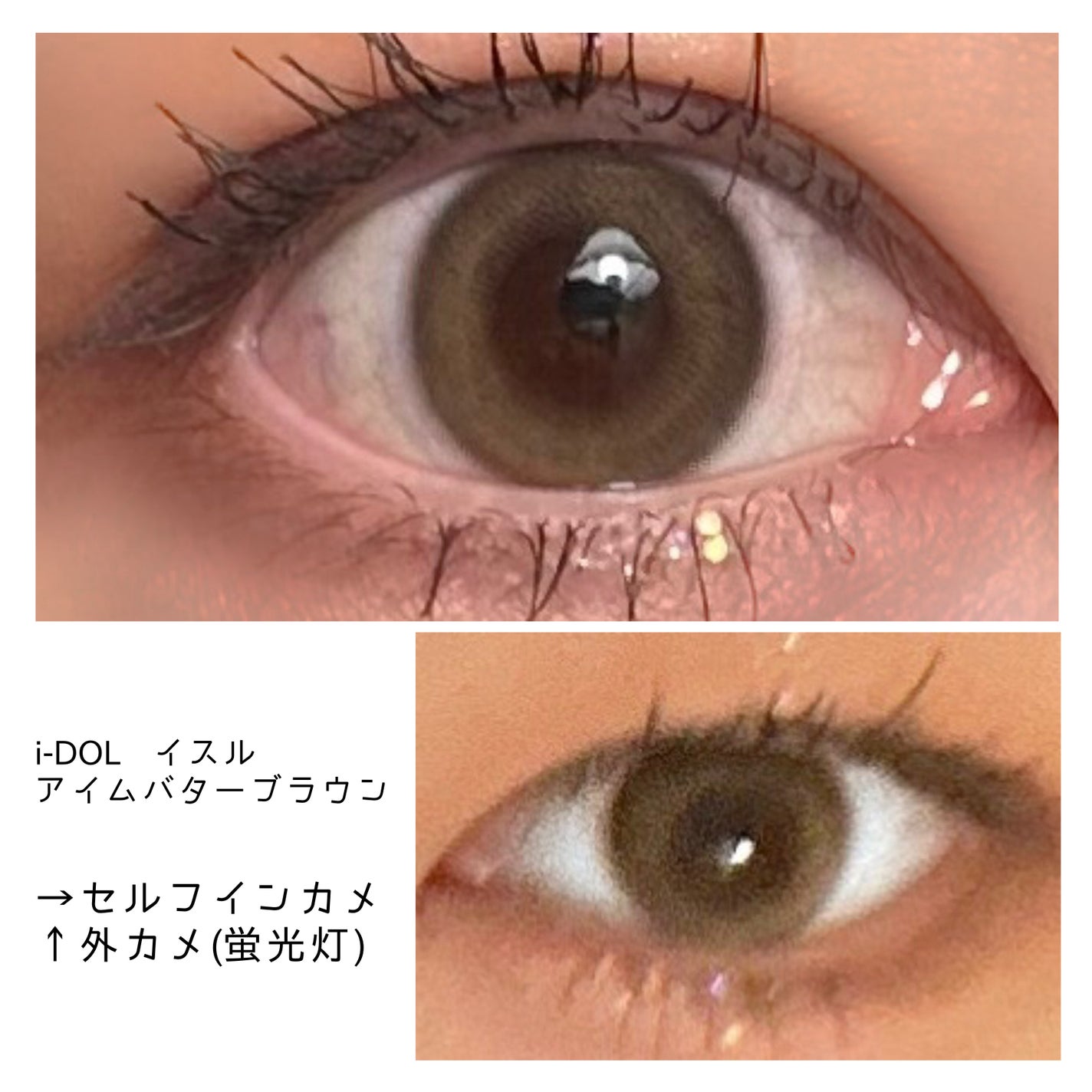 Eesle 1day/URIA i-DOL/ワンデー(1DAY)カラコンを使ったクチコミ(1枚目)