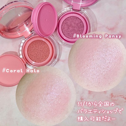 アーティストクッションブラッシュ/JUNG SAEM MOOL/リキッドチークを使ったクチコミ(3枚目)