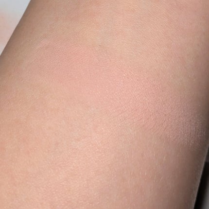 ブラーフィニシュブラッシャー 508 リトルオルコット/Dinto/パウダーチークの画像